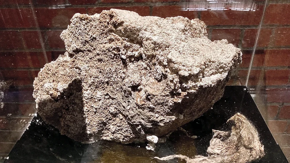 Fatberg