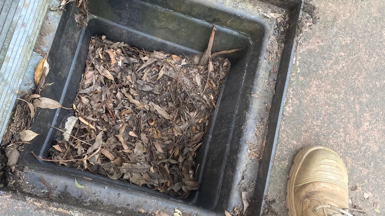 Blocked Stormwater Drain