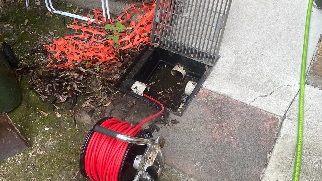 Cleared Stormwater Drain in Sydney